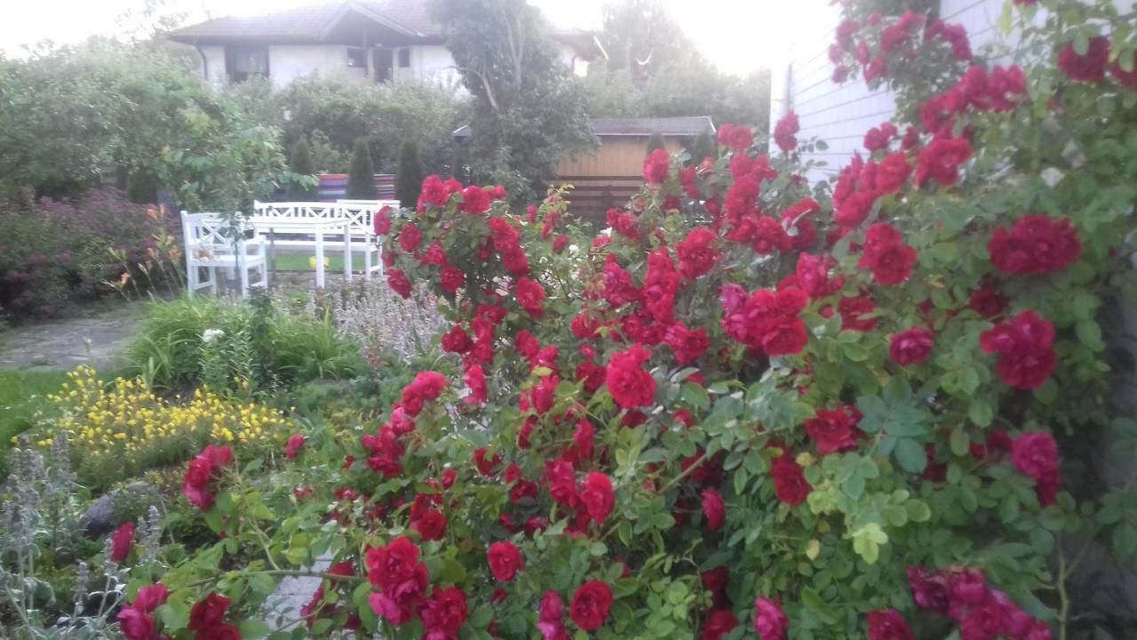 Гостевой дом White Villa Таллин-35